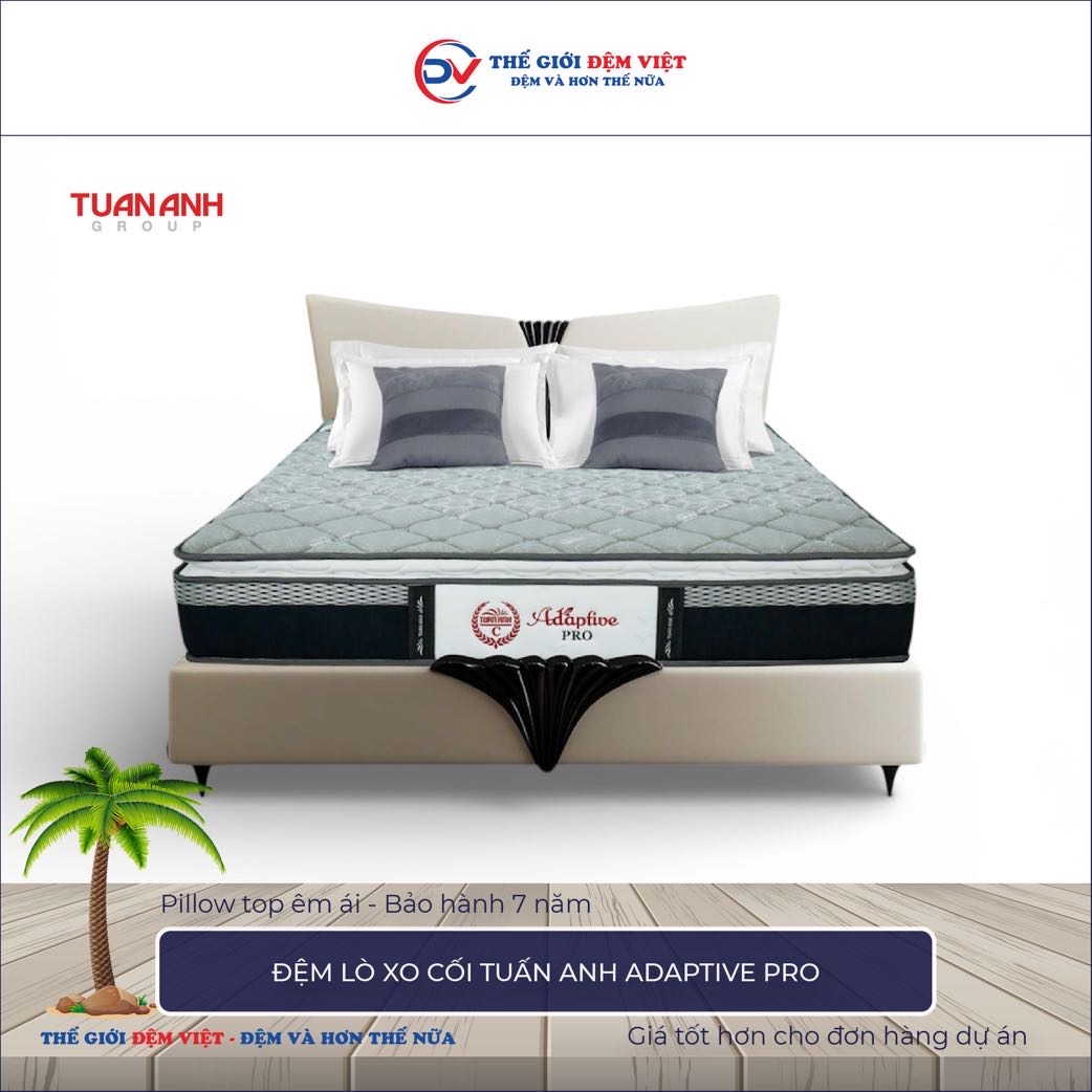 Đệm lò xo cối Tuấn Anh Adaptive Pro